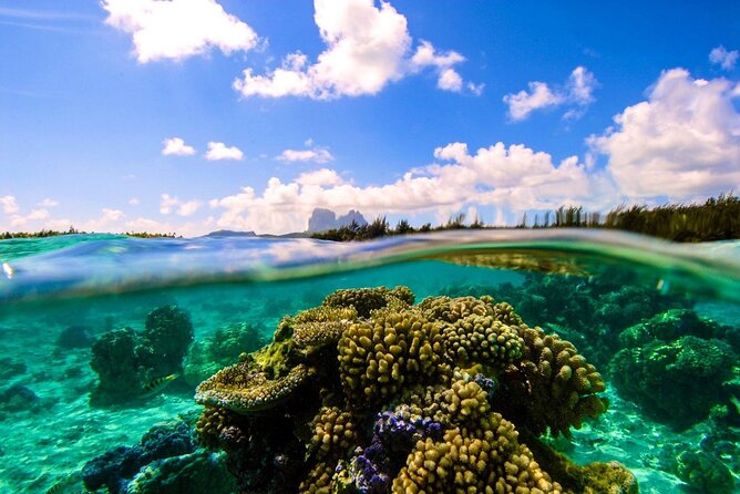 Reef Discovery Private Full Day Lagoon Tour & Water Lunch - Who should book this experience