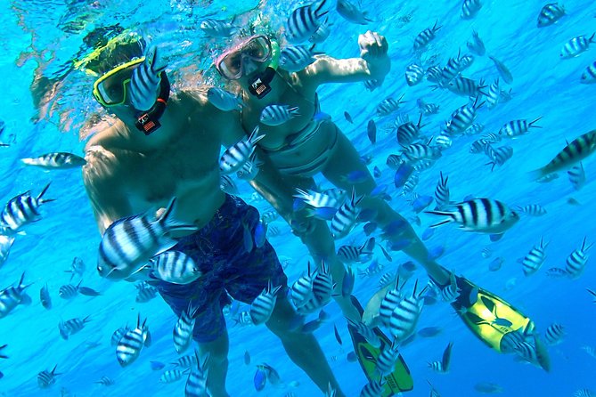Reef Discovery Private Half Day Lagoon Tour - Morning or afternoon: choosing the better departure