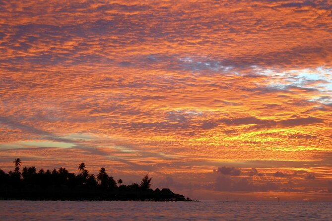 Reef Discovery Private Sunset Cruise in Bora-Bora - Returning Under the Stars