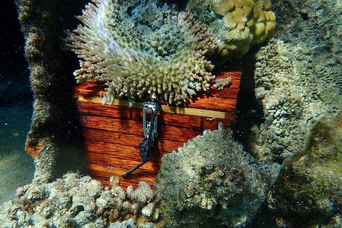 Reef Discovery Private Treasure Hunt - The Fish Garden and the Final Shipwreck