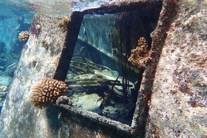 Reef Discovery Private Treasure Hunt - How Private Customization Helps Families