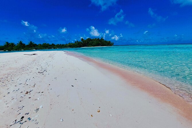 REEF ISLAND | private island | pink sand | natural swimming pools - Why Reef Island feels different from a standard lagoon tour