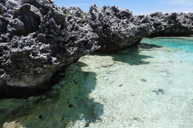 REEF ISLAND | private island | pink sand | natural swimming pools - Tiputa Pass and the dolphin search