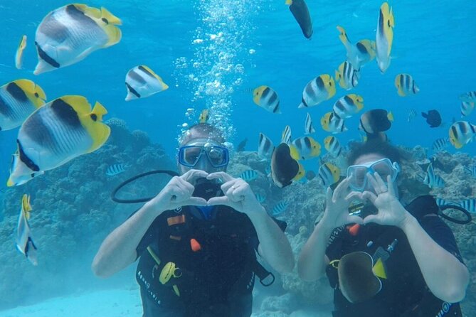 Romantic Dive for beginners in Bora Bora (2 people) with Video - Key points to know before booking