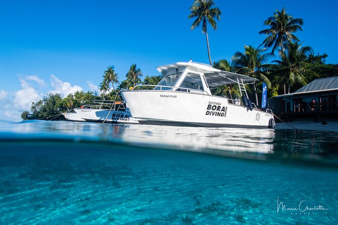 Romantic Dive for beginners in Bora Bora (2 people) with Video - The video and black pearl souvenirs