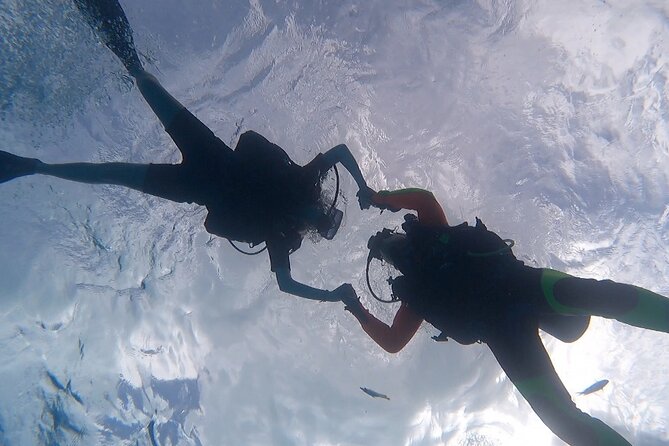 Romantic Dive for beginners in Bora Bora (2 people) with Video - Is $491.54 good value for two?