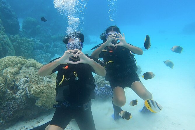 Romantic Dive for beginners in Bora Bora (2 people) with Video - The instruction session: what you learn first