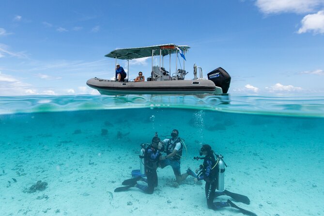 Romantic dive in the lagoon of Bora Bora. Private instructor on a shared boat - The 2:00 pm departure and shared boat