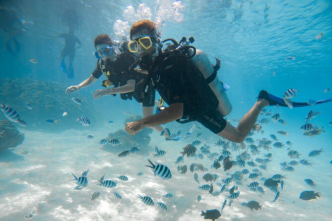 Romantic dive in the lagoon of Bora Bora. Private instructor on a shared boat - Who should book this experience