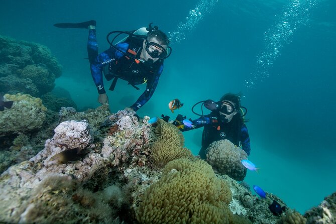 Romantic dive in the lagoon of Bora Bora. Private instructor on a shared boat - Getting comfortable before going underwater