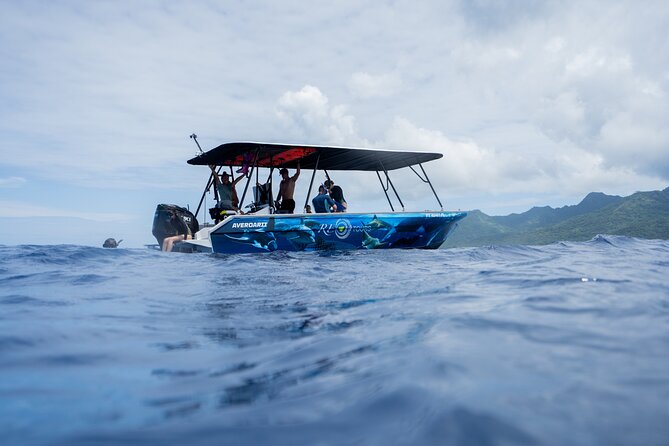 Sacred Experience Swimming with a Whale in Moorea - What makes the crew’s guidance valuable
