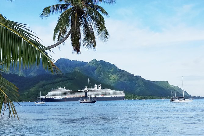 Scenic Shopping Tour from cruise ship - The value of $80 per person