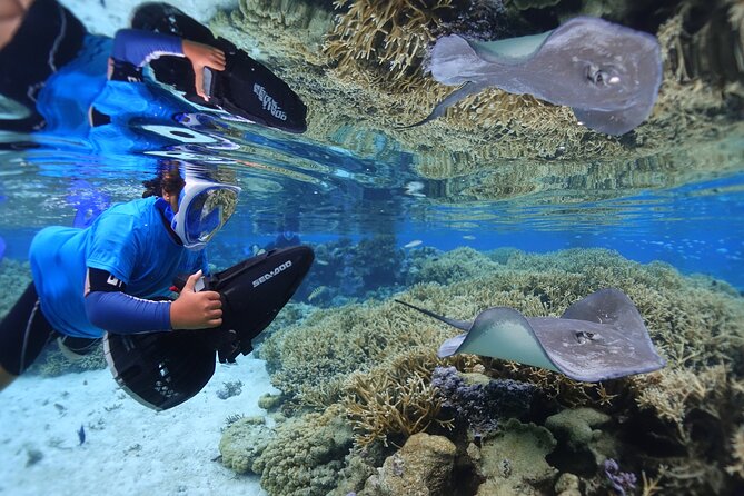 Sea Scooter Jet Snorkeling "Moorea Dream Adventure" - Second stop: a shorter look at another reef area