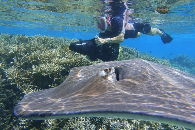 Sea Scooter Jet Snorkeling "Moorea Dream Adventure" - The photo question: useful souvenir or extra expense?