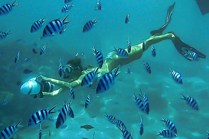 Sea Scooter Snorkel Tour - Lagoon Discovery : Wrecks, Coral Gardens and Tropical Fishies - What makes this Tahiti lagoon tour worth considering