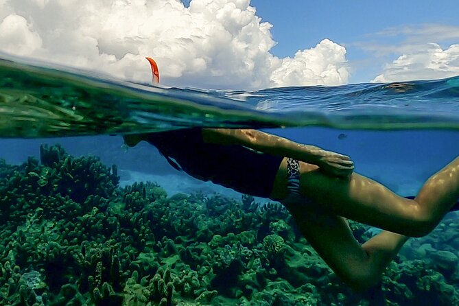 Sea Scooter Snorkel Tour - Lagoon Discovery : Wrecks, Coral Gardens and Tropical Fishies - Wrecks that give the snorkeling a sense of place