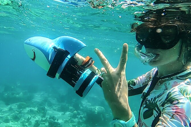 Sea Scooter Snorkel Tour - Lagoon Discovery : Wrecks, Coral Gardens and Tropical Fishies - What the guides add to the two-hour outing