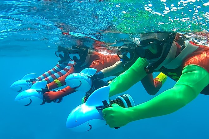 Sea Scooter Snorkel Tour - Lagoon Discovery : Wrecks, Coral Gardens and Tropical Fishies - Is the $109 price good value?