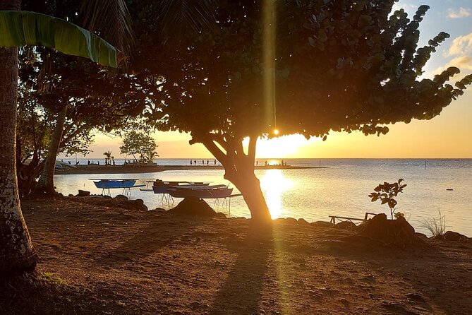 Shared 4.5h Circle Island Tour of Tahiti Nui by Lydia - Vaipahi Water Gardens and living Polynesian traditions