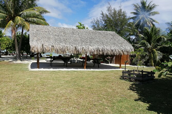SHARED FULL DAY CULTURAL & LAGOON TOUR - Bora Bora Cultural Lagoon Tour - Captain Narii and the group experience