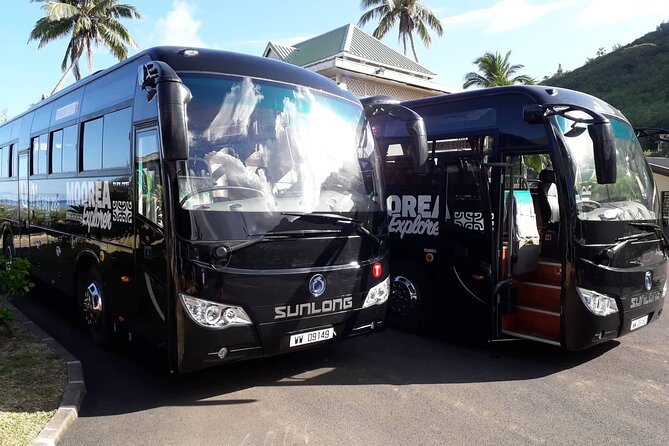 Shared Transfer : Moorea Airport (or) Pier to Hotel - A practical start from Moorea Airport or the ferry pier