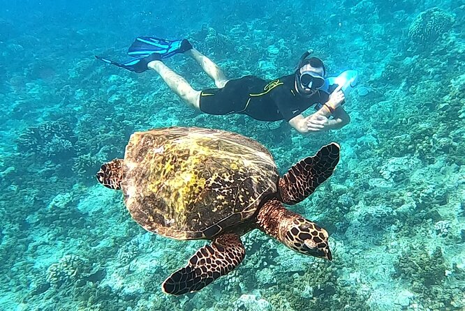 Shared Transfer : Moorea Airport (or) Pier to Hotel - Booking details worth getting right