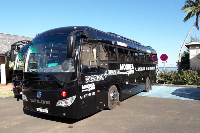 Shared Transfer : Moorea Airport (or) Pier to Hotel - What the ride is like in the shared van