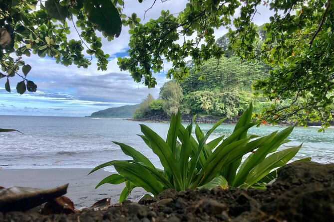 Shared Transfer: Tahiti Airport to Hotel or Cruise Port - Reaching the cruise port or ferry pier
