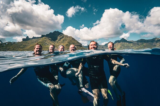 Shared Whale Expedition - What happens when you enter the water