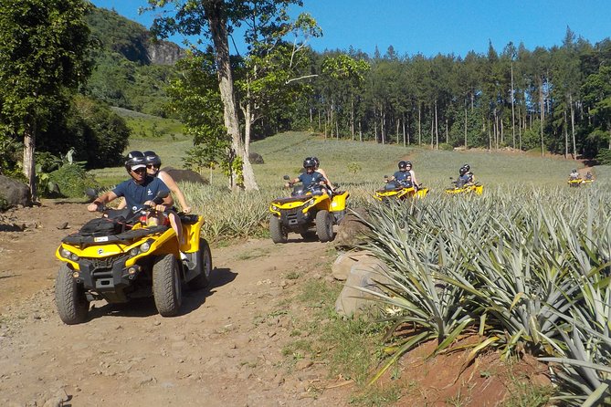 Small Combo 2h30 Quad + 1h Jetski - Pineapple Fields at the Lycee Agricole