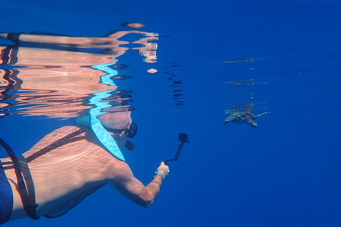 Small group snorkeling (5 people max): Turtles at 7:30am - Timing, weather, and what to bring