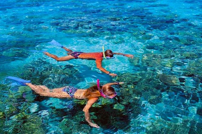 Small group snorkeling (5 people max): wrecks & tropical fishes at 1:00pm - Captain Benoit’s guiding style