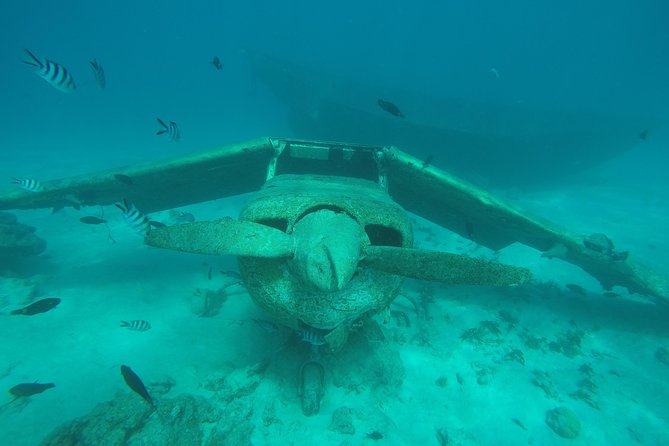 Small group snorkeling (5 people max): wrecks & tropical fishes at 1:00pm - Is $99.67 a fair price?