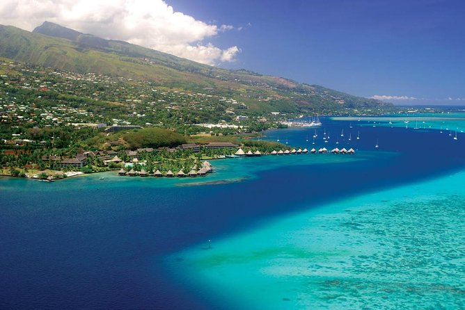 Small group snorkeling (5 people max): wrecks & tropical fishes at 1:00pm - Who will enjoy this most?