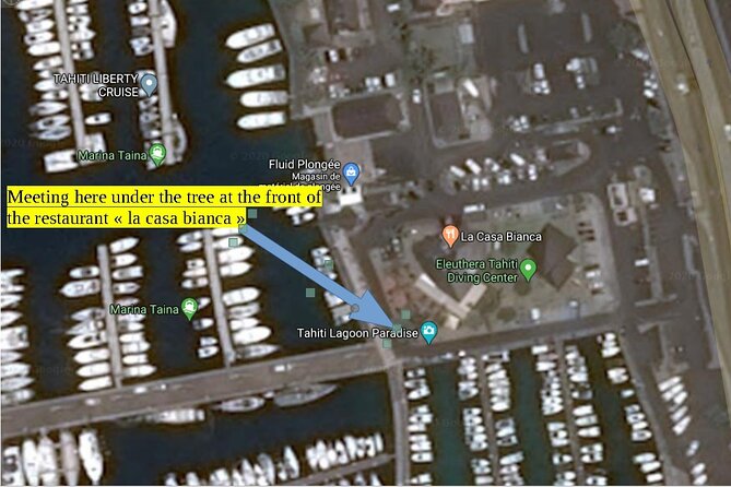 Small group snorkeling (5 people max): wrecks & tropical fishes at 1:00pm - Entering The Aquarium and its three wrecks