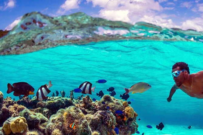Small group snorkeling (5 people max): wrecks & tropical fishes at 10:30am - A 70-minute swim with personal attention