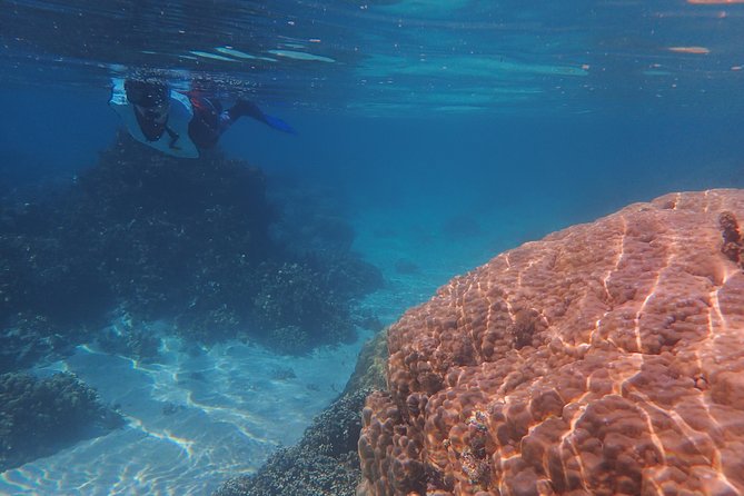 Small group snorkeling (5 people max): wrecks & tropical fishes at 10:30am - Who should book this snorkeling trip?