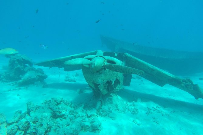 Small group snorkeling (5 people max): wrecks & tropical fishes at 3:30pm - Key details before you book