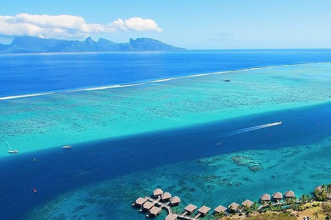 Small group snorkeling (5 people max): wrecks & tropical fishes at 3:30pm - The short cruise from Marina Taina to the Aquarium