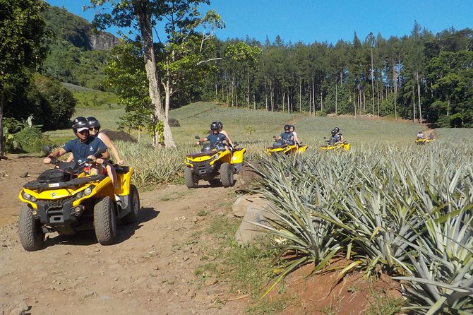 Small Quad Tour 2h30 Quad excursion in Moorea (single or two-seater) - Why Moorea’s interior is worth your morning