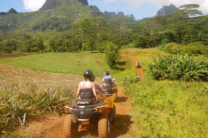 Small Quad Tour 2h30 Quad excursion in Moorea (single or two-seater) - Fare Tutava and the final local tasting