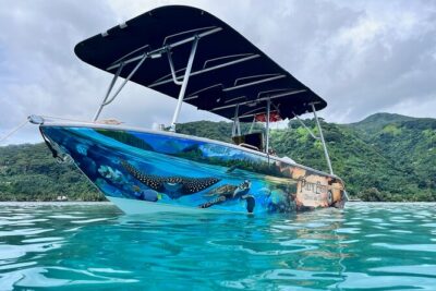 Snorkeling EN Small Group Tour in Tahiti