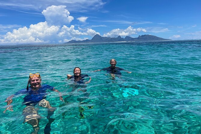 Snorkeling EN Small Group Tour in Tahiti - Weather, wildlife, and the limits of the experience