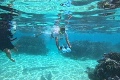 Snorkeling EN Underwater Scooter in Tahiti