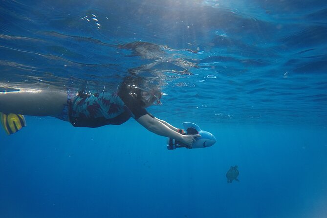 Snorkeling EN Underwater Scooter in Tahiti - Is the $168.83 price fair?