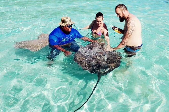 Snorkeling excursion and encounter with marine fauna in Moorea - Why this Moorea boat trip works so well