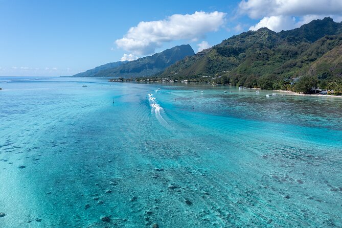 Snorkeling excursion and encounter with marine fauna in Moorea - Three water stops with different rewards