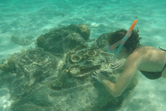 Snorkeling excursion and encounter with marine fauna in Moorea - Lunch with your feet in the water
