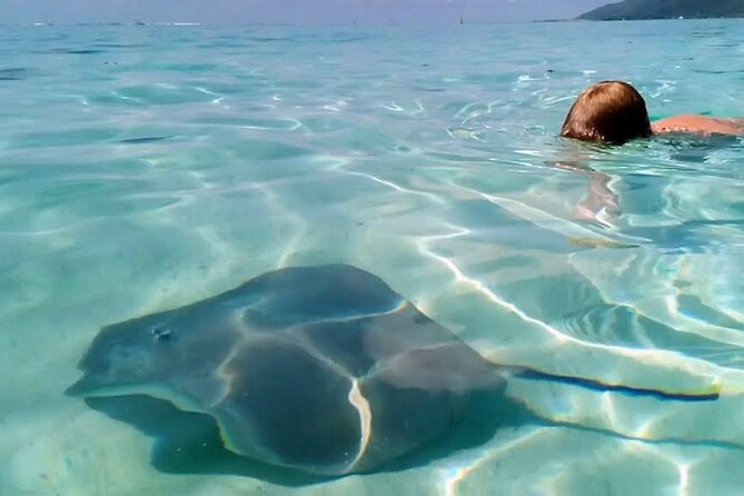 Snorkeling excursion and encounter with marine fauna in Moorea - What to bring, and what the boat does not provide
