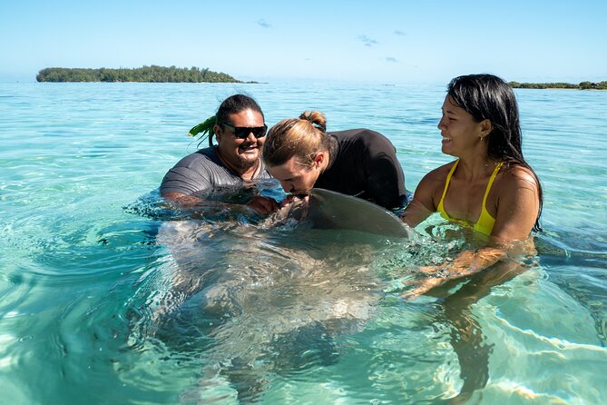 Snorkeling excursion and encounter with marine fauna in Moorea - Starting at 9:00 a.m. from the cruise quay